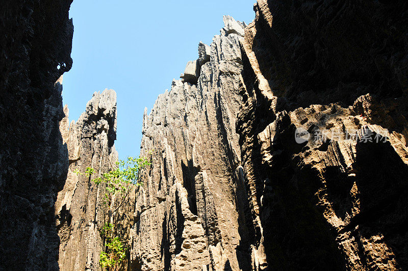 马达加斯加的Tsingy de Bemaraha